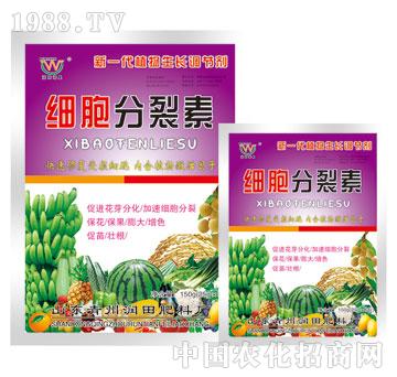 ��(r��n)��-��(x��)��������