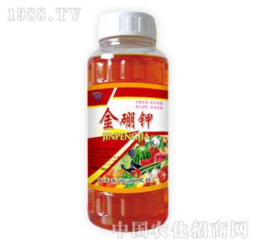 ����-�����