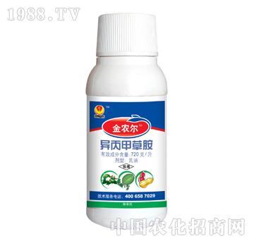 720��/�������ײݰ�-���r(n��ng)��-̩�