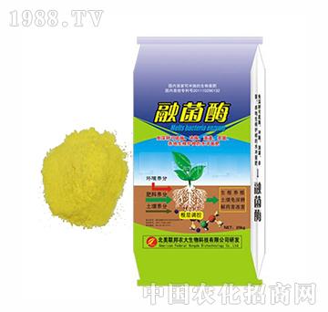 �ھ�ø-�����r��