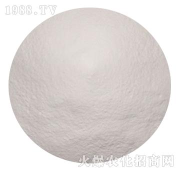 �Ҷ����������\�c-���_