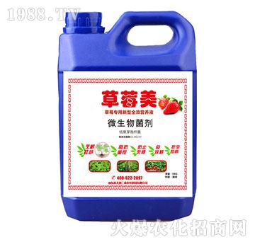 ��ݮ��-��ݮ����΢�������-�읙(r��n)����