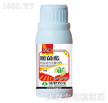 25%�׾����Ҹ���-��(j��)��-�Ұ�r(n��ng)��