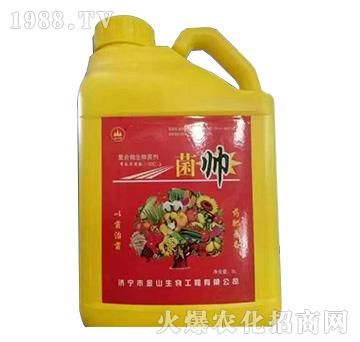 ������(f��)��΢�������-��ɽ����