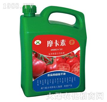 �����־����AҺ-Ħ����-��(qi��ng)о��(gu��)�H