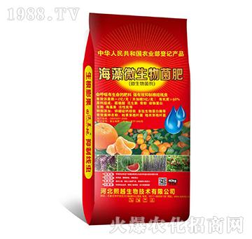 ����΢�������-΢�������-��Խ����