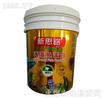 �����~����-��˼·