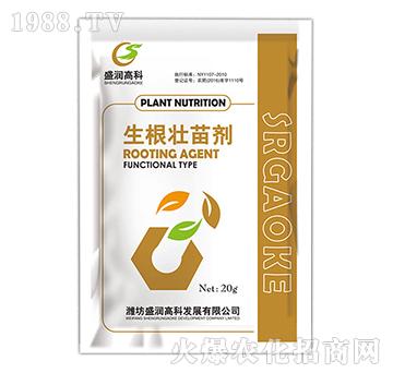 �������焩-ʢ���߿�