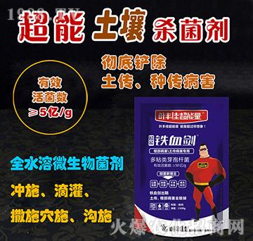 ����������������������-�FѪ��-�~�S�ѳ�����