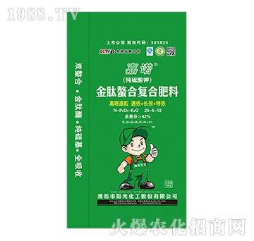 �������Ϗ�(f��)�Ϸ���25-5-12-���Z-�(y��ng)�⻯��