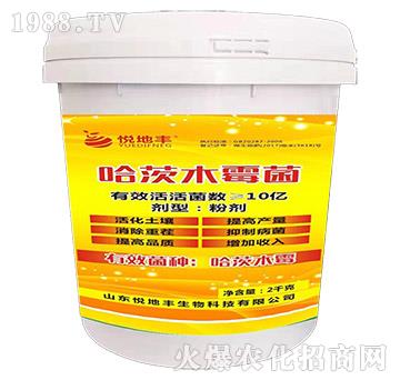 ����ľù��-�����S