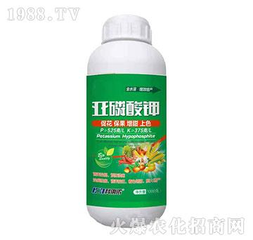 �������-�����r