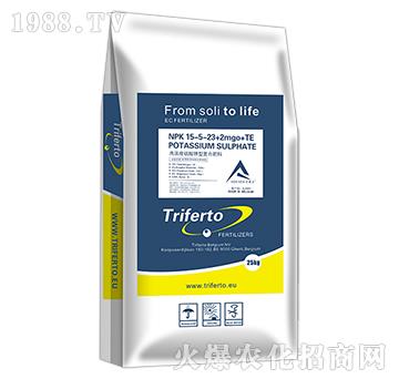 �ߝ��������͏�(f��)�Ϸ���-15-5-23+2MgO+TE-���\