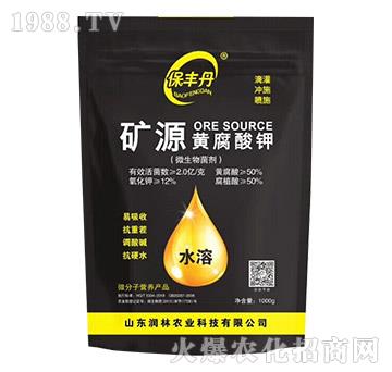 �VԴ�S�����-���S��-�����r�I(y��)