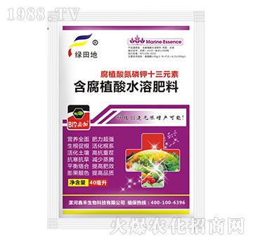 ��ֳ�ᵪ���ʮ��Ԫ�أ�40������-�𿵉�-�G���