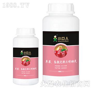 �O�������nɫ��������`�{(di��o)��(ji��)��-С����