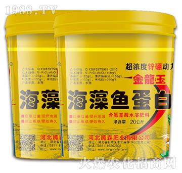 �����~����-���vɭ-�vɭ�ʘI(y��)