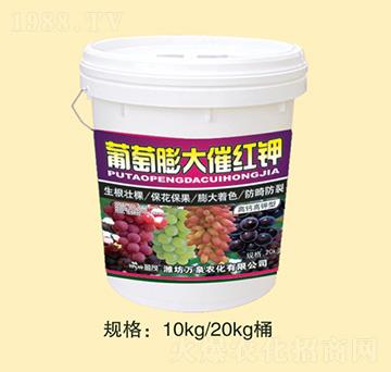 �������߼t�-�fȪ�r(n��ng)��