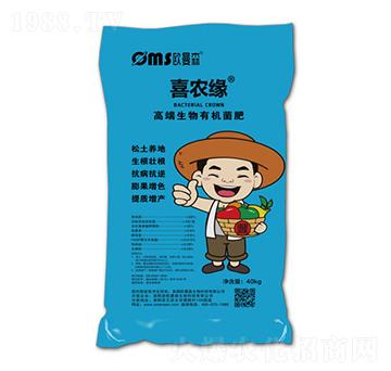 �߶������ЙC����-ϲ�r��-�W��ɭ