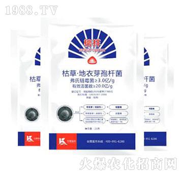 �ݲݡ�����ѿ�ߗU��-���-����ֲ��