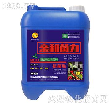 ���b��(f��)��΢�������-�H�;���-����r(n��ng)