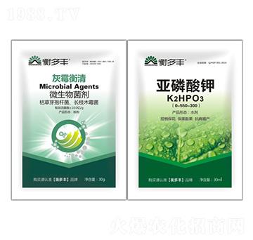 1+1�B���Ի�ù������-��ù����-����S