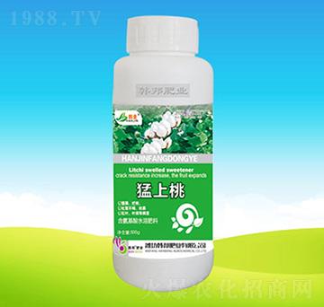 ������-�n��ʘI(y��)