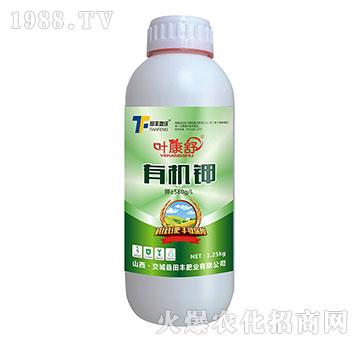 �ЙC�-�~����-���S����