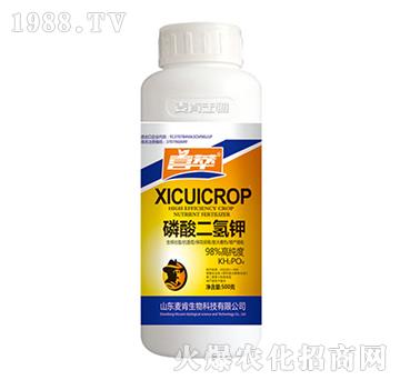 �������⛣�500g��-��������