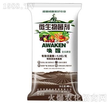 ΢�������-����-�����r�I(y��)