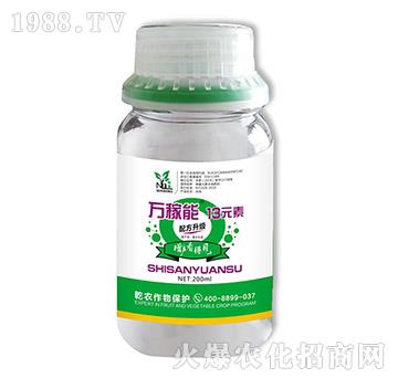 13Ԫ�أ�ƿ��-�f(w��n)����-Ǭ�r(n��ng)