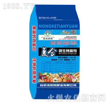 ��(f��)��΢�������-��@�ʘI(y��)