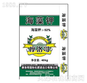 40kg�����-Ħ���-���R��