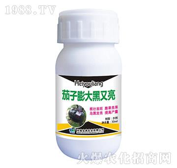 ������������-���䌍�I(y��)