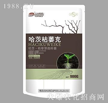 ���ġ��ݲ�ѿ�ߗU��-���Ŀ�ή��-���_(t��i)��