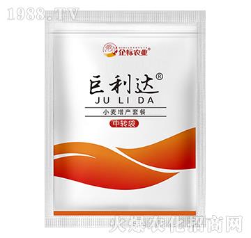 С�����a�ײ�-�����_-���