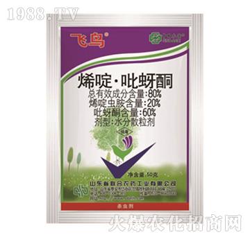 80%ϩड�����ͪ-�w�B-���r(n��ng)(li��n)��