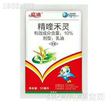 10%��୺��`-ħ�z-��������