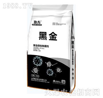 ��(f��)��΢�������-�ڽ�-�Ν�(r��n)�ʘI(y��)