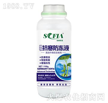 ��������Һ��1100g��-���Ɓ�