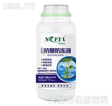 ��������Һ-���Ɓ�