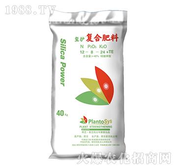 ����⛏ͺϷ���-�t�o-���؇��H