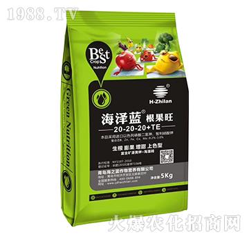 ������20-20-20+TE-�����{-��֮�{