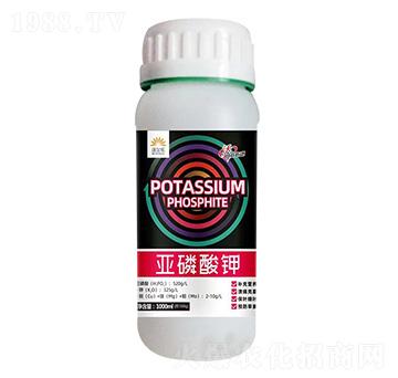 �������-�֠���