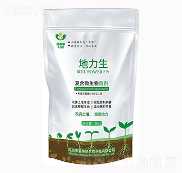 �ͺ�΢������� ������ �۸�������