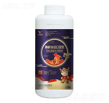 ø���~�����۝{-܎�@ţ