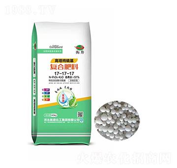 ����������ͺϷ���17-17-17-��»���