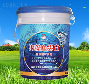 �����~����-��������