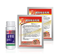 ���y��-���Y���x����