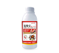 �˾������Y���x��Чˎ